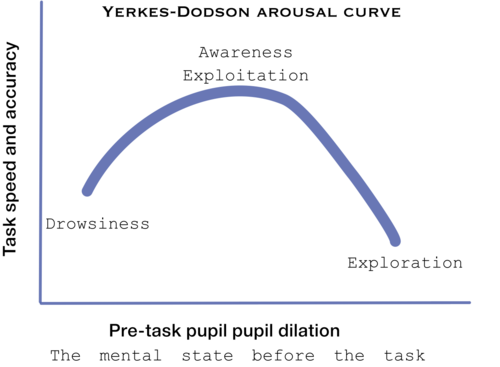 Yarkes-Dodson arousal curve.png